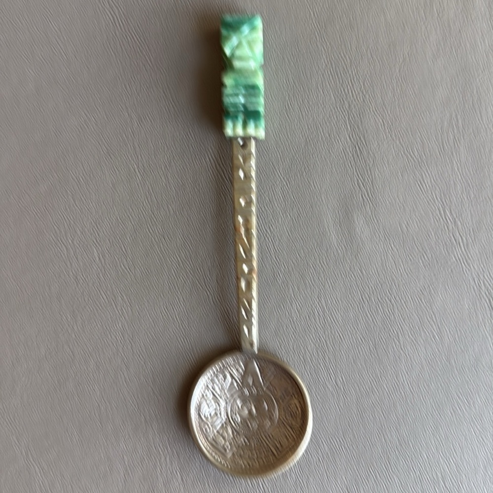 Cancun Mexico Alpaca and Onyx Souvenir Spoon
